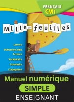 Mille-feuilles CM1