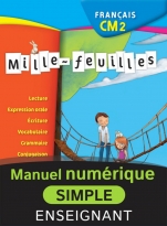 Mille-feuilles CM2