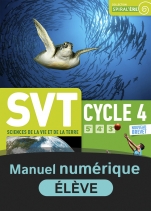 SVT Cycle 4