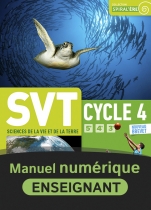 SVT Cycle 4