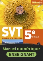 SVT 5e