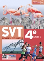 SVT 4e