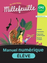 Millefeuille CM2 