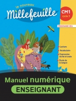 Millefeuille CM1 