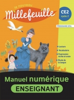 Millefeuille CE2